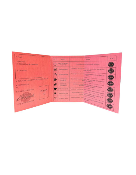 Permis de Majeur 18 ans : Le Cadeau Original d'anniversaire