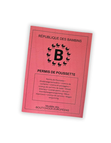 Permis Poussette Officiel pour Jeunes Parents | Cadeau Original pour Papa/Maman