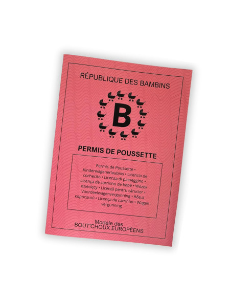 Permis Poussette Officiel pour Jeunes Parents | Cadeau Original pour Papa/Maman