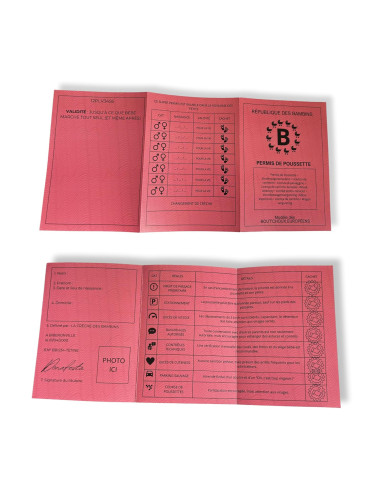 Permis Poussette Officiel pour Jeunes Parents | Cadeau Original pour Papa/Maman