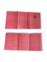 Permis Poussette Officiel pour Jeunes Parents | Cadeau Original pour Papa/Maman