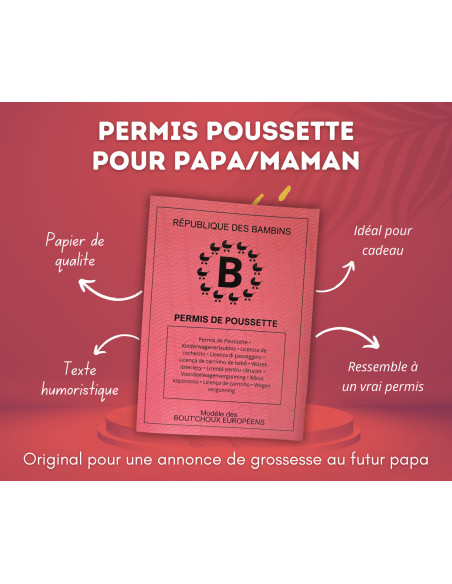 Permis Poussette Officiel pour Jeunes Parents | Cadeau Original pour Papa/Maman